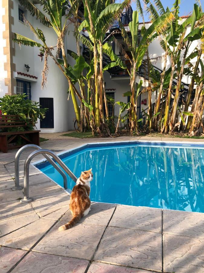 Bay View Hotel Apartments Polis ภายนอก รูปภาพ